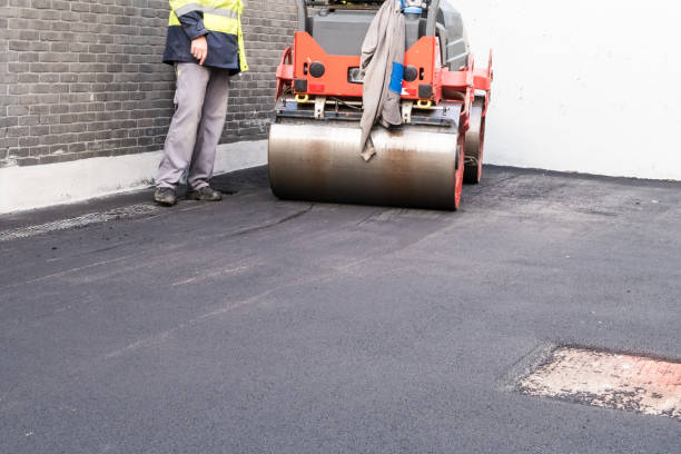 Best Driveway Drainage Solutions  in Trenton, NJ